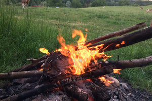 Das Feuer und die Liebe